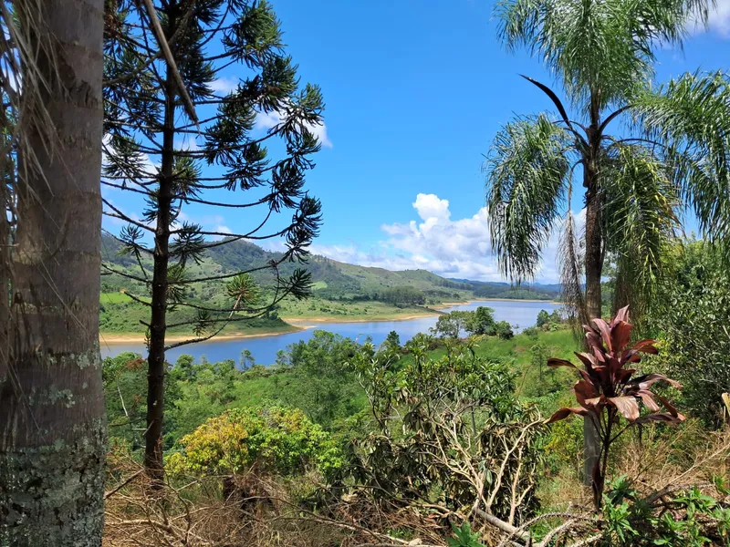 Sítio em Salesópolis/São Paulo — Ref HBW8ZZ — Imagem 4