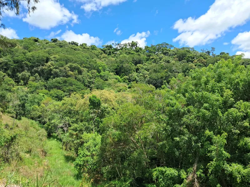 Sítio em Salesópolis/São Paulo — Ref HBW8ZZ — Imagem 17