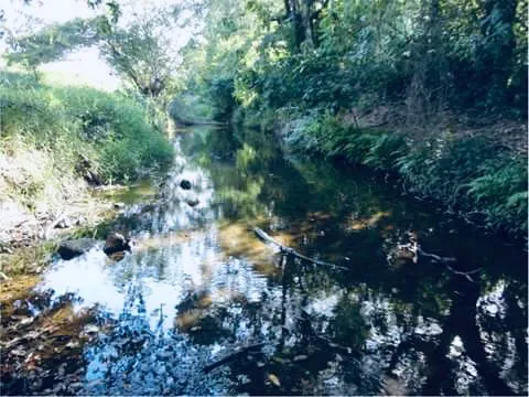 Chácara em Laranjal Paulista/São Paulo — Ref 6AWCB6 — Imagem 25