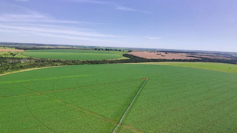 Fazenda em Prata/Minas Gerais — Ref YWM04X — Imagem 11