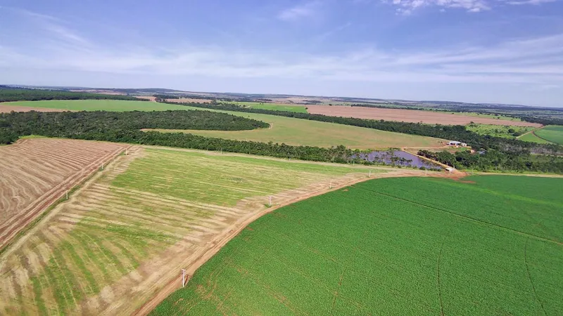 Fazenda em Prata/Minas Gerais — Ref YWM04X — Imagem 12