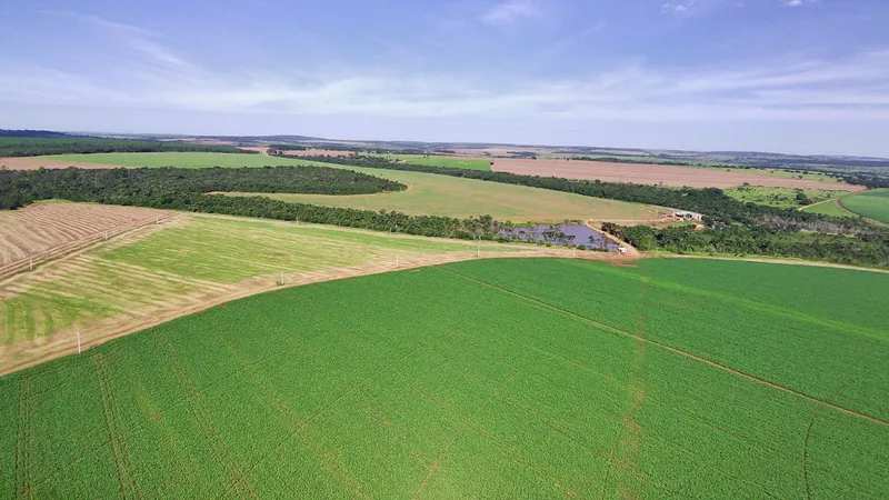 Fazenda em Prata/Minas Gerais — Ref YWM04X — Imagem 14