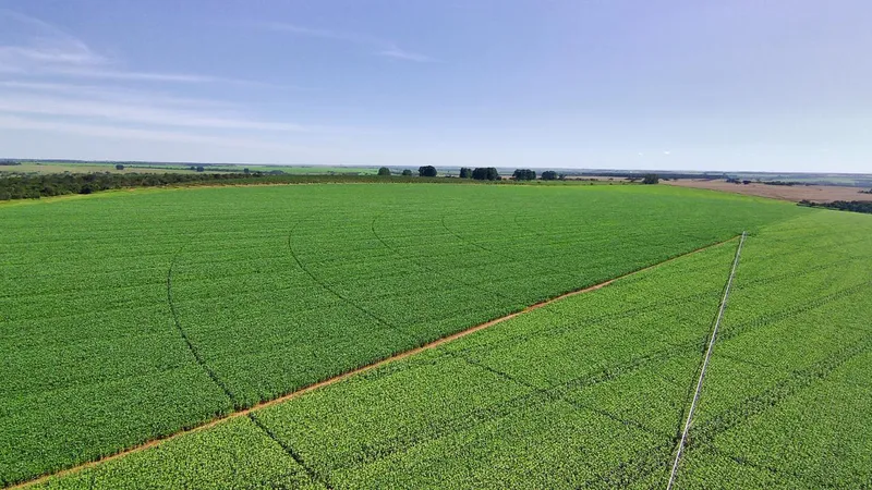 Fazenda em Prata/Minas Gerais — Ref YWM04X — Imagem 15