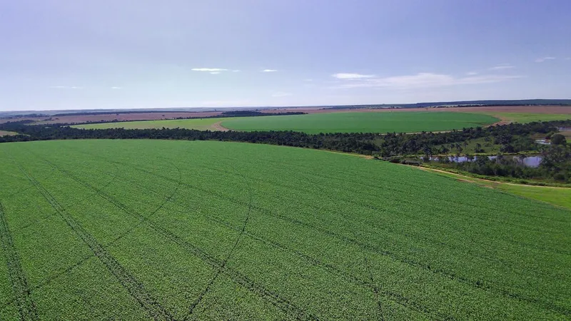 Fazenda em Prata/Minas Gerais — Ref YWM04X — Imagem 16