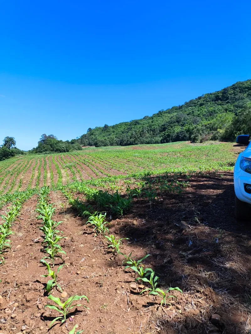 Sítio em Gramado/Rio Grande do Sul — Ref CSD7RT — Imagem 11
