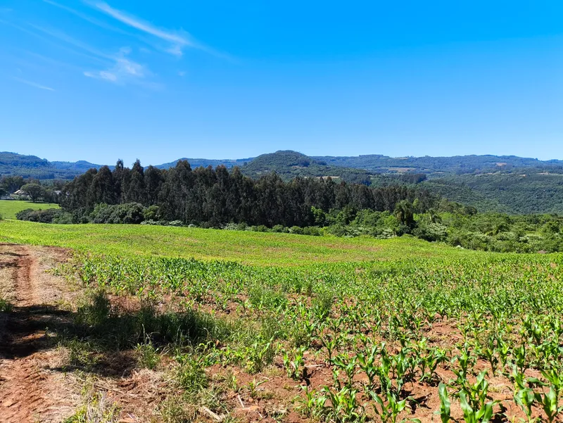 Sítio em Gramado/Rio Grande do Sul — Ref CSD7RT — Imagem 5