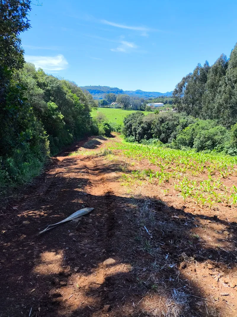 Sítio em Gramado/Rio Grande do Sul — Ref CSD7RT — Imagem 13