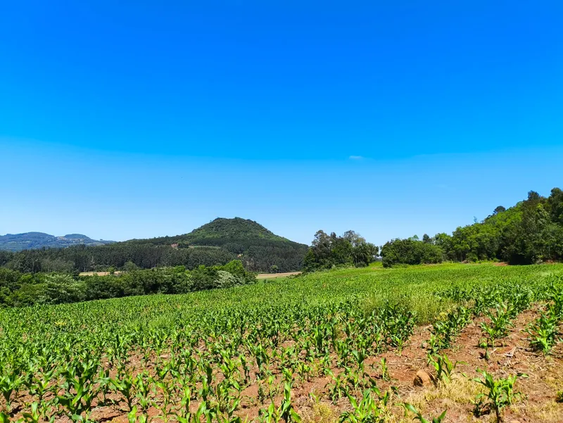 Sítio em Gramado/Rio Grande do Sul — Ref CSD7RT — Imagem 8