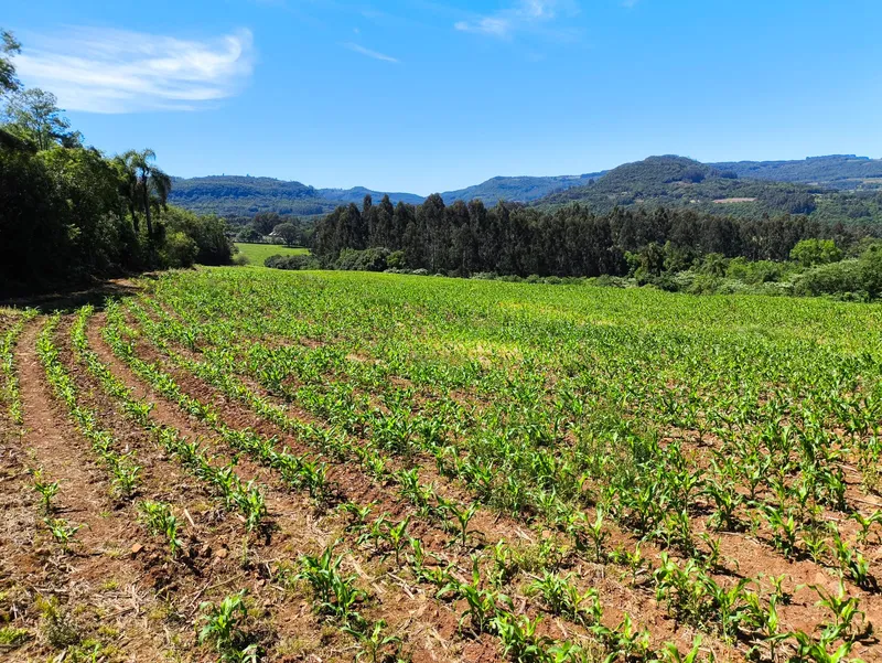 Sítio em Gramado/Rio Grande do Sul — Ref CSD7RT — Imagem 15