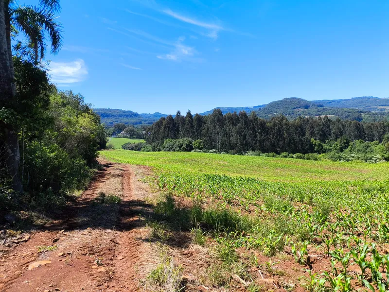 Sítio em Gramado/Rio Grande do Sul — Ref CSD7RT — Imagem 17
