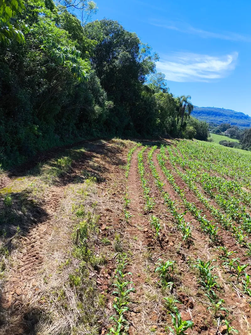 Sítio em Gramado/Rio Grande do Sul — Ref CSD7RT — Imagem 19