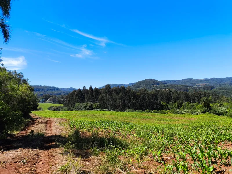 Sítio em Gramado/Rio Grande do Sul — Ref CSD7RT — Imagem 3