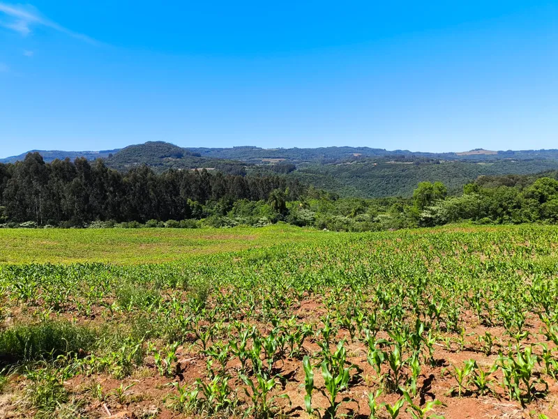 Sítio em Gramado/Rio Grande do Sul — Ref CSD7RT — Imagem 2