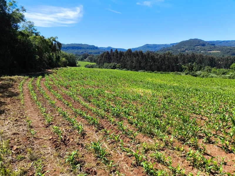 Sítio em Gramado/Rio Grande do Sul — Ref CSD7RT — Imagem 7