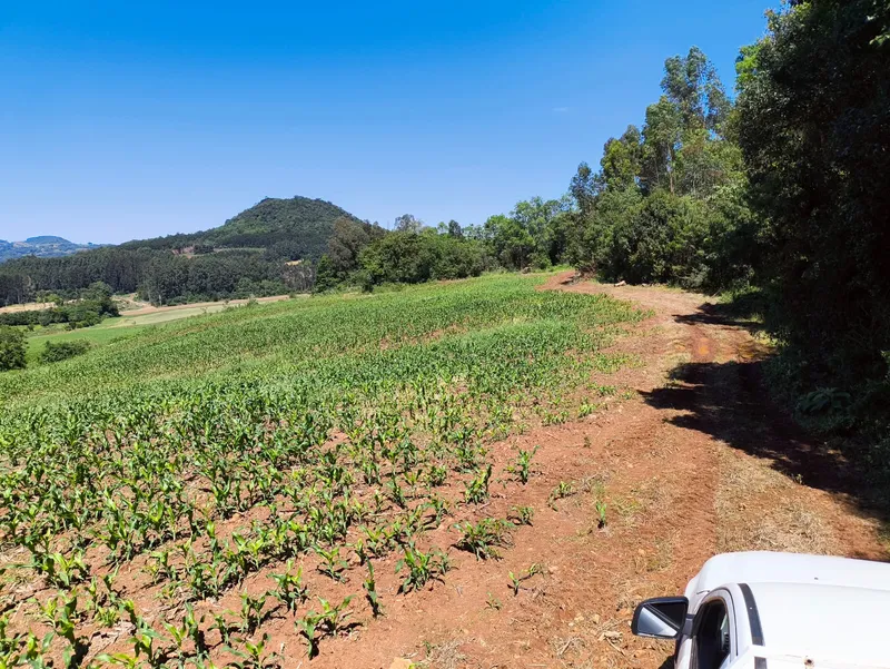 Sítio em Gramado/Rio Grande do Sul — Ref CSD7RT — Imagem 20