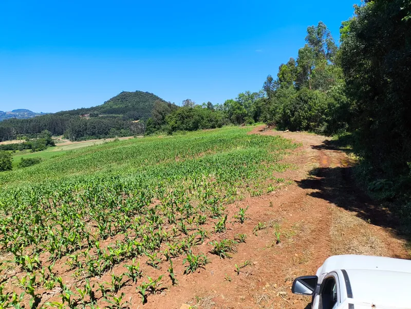 Sítio em Gramado/Rio Grande do Sul — Ref CSD7RT — Imagem 21
