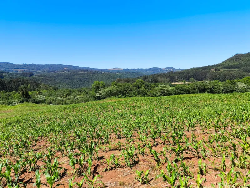 Sítio em Gramado/Rio Grande do Sul — Ref CSD7RT — Imagem 1