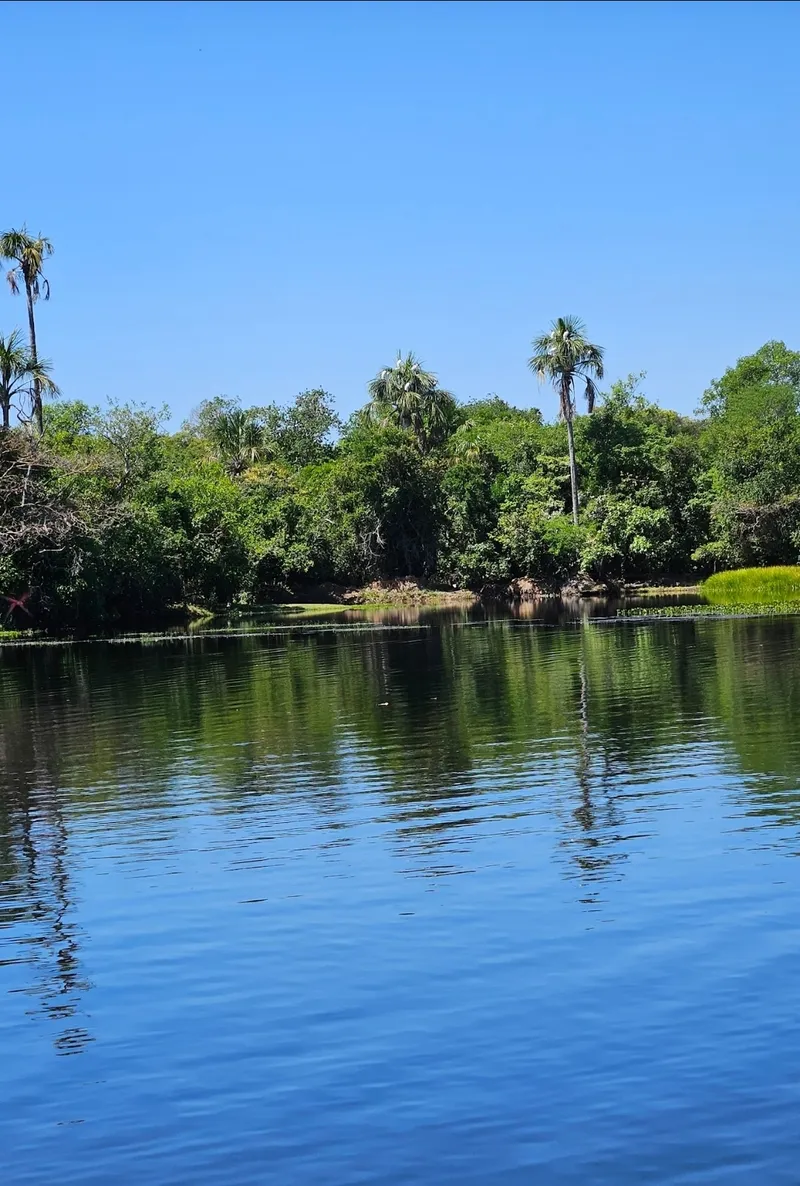 Fazenda em Cocalinho/Mato Grosso — Ref 7W126Z — Imagem 7