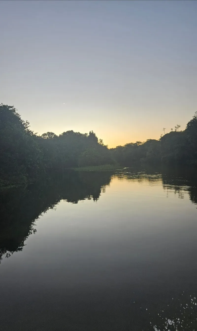 Fazenda em Cocalinho/Mato Grosso — Ref 7W126Z — Imagem 10