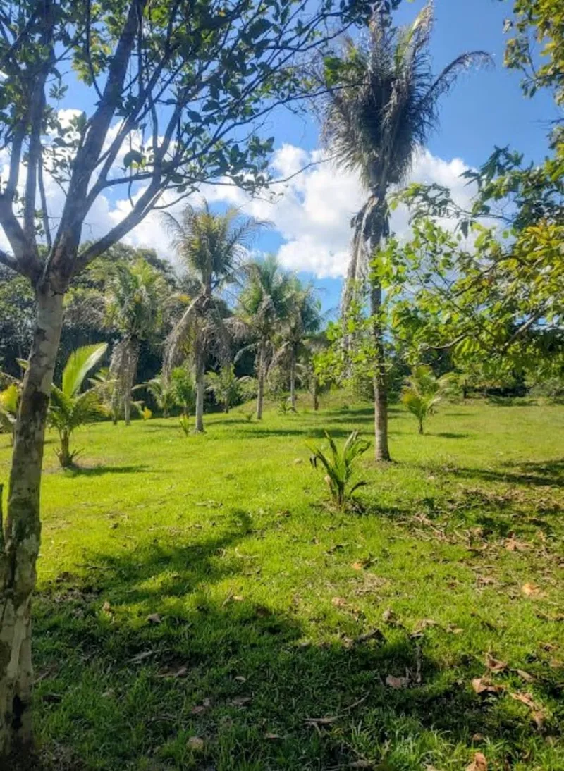 Sítio em Rio Preto da Eva/Amazonas — Ref QKK93L — Imagem 5