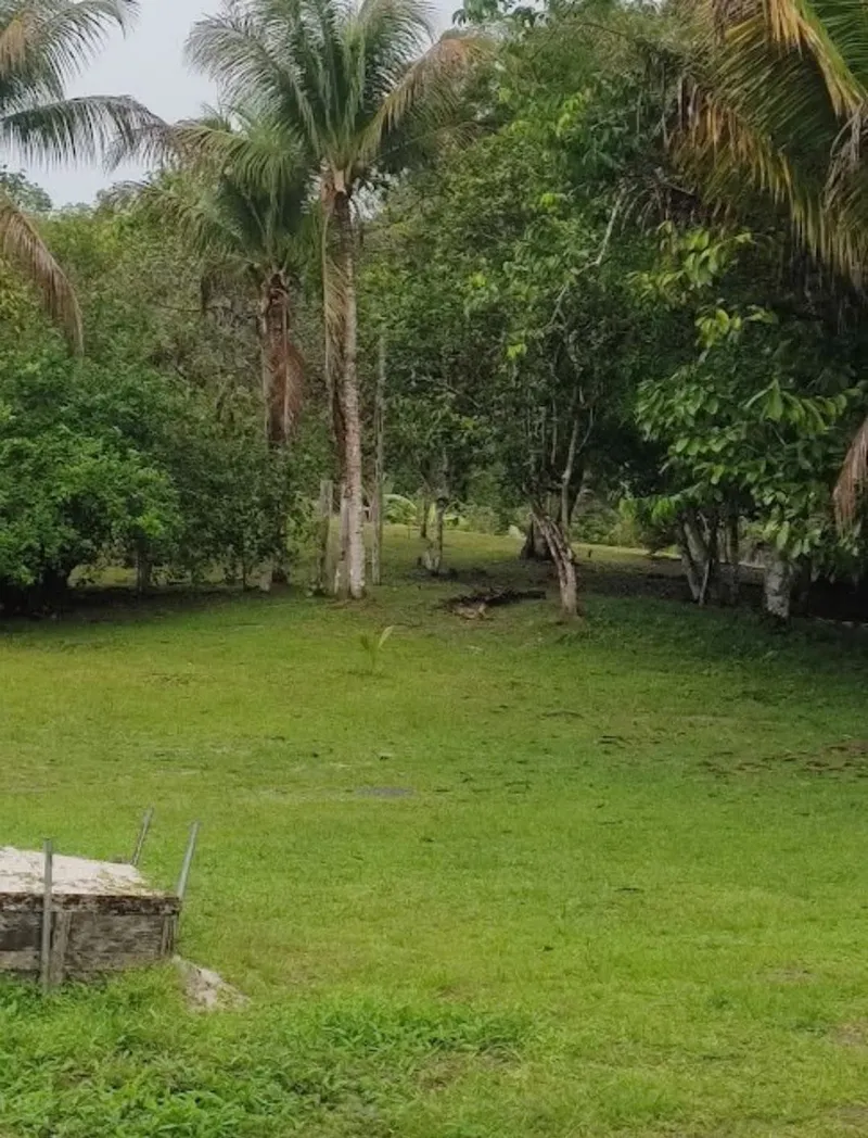 Sítio em Rio Preto da Eva/Amazonas — Ref QKK93L — Imagem 6