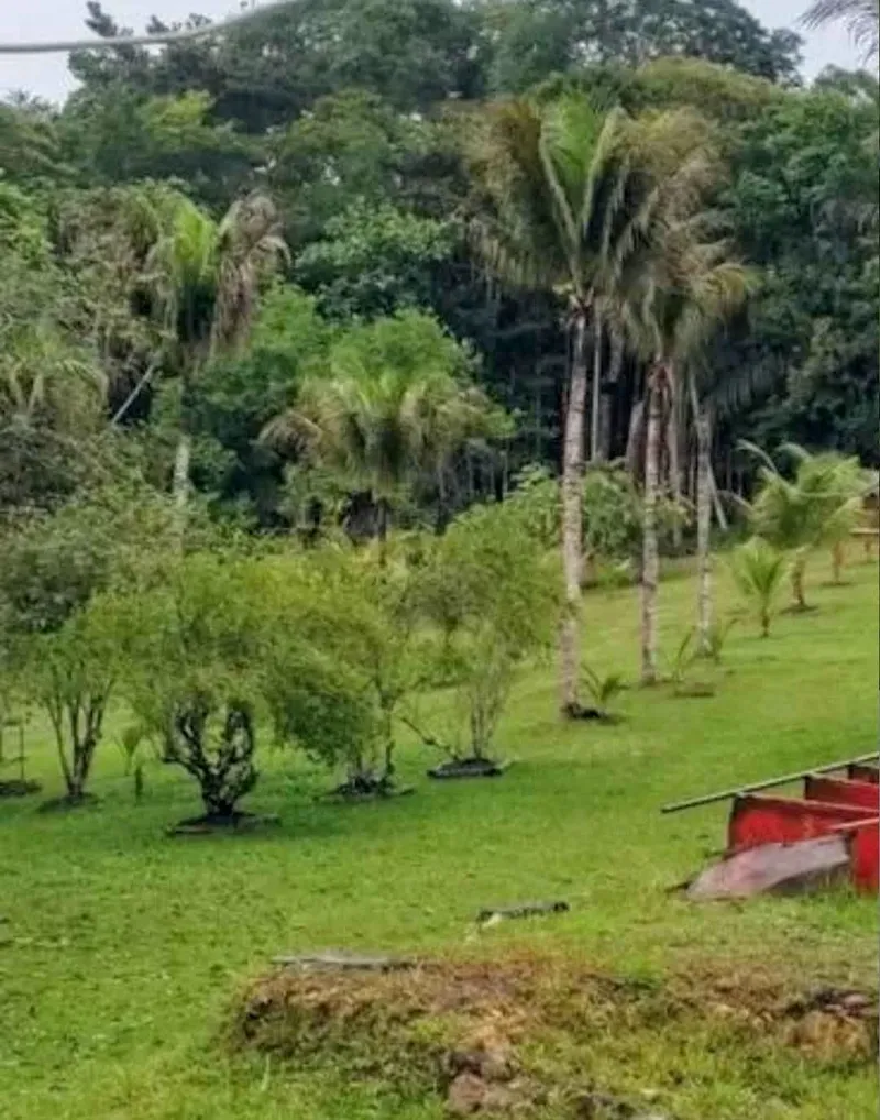 Sítio em Rio Preto da Eva/Amazonas — Ref QKK93L — Imagem 7