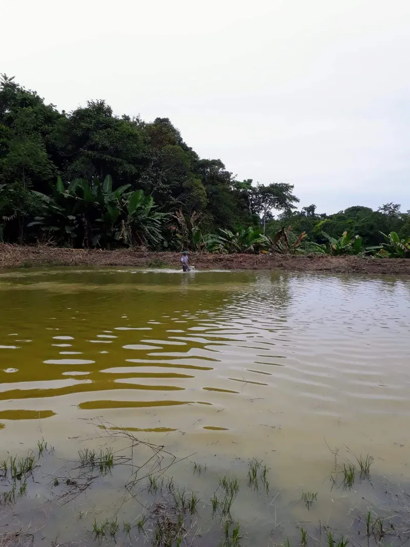 Sítio em Rio Preto da Eva/Amazonas — Ref QKK93L — Imagem 3