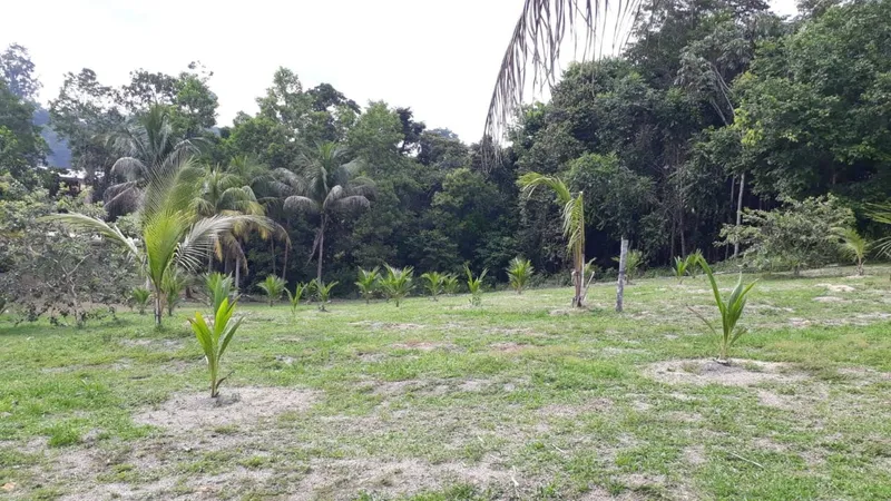 Sítio em Rio Preto da Eva/Amazonas — Ref QKK93L — Imagem 9