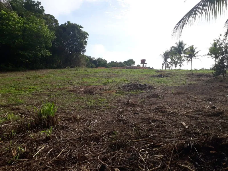 Sítio em Rio Preto da Eva/Amazonas — Ref QKK93L — Imagem 11