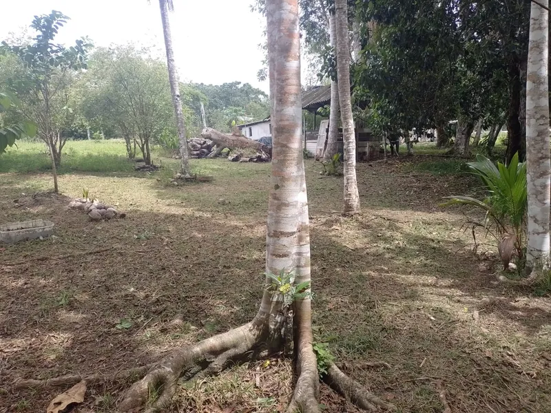 Sítio em Rio Preto da Eva/Amazonas — Ref QKK93L — Imagem 12