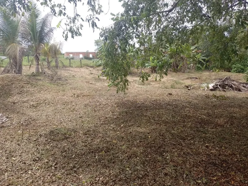 Sítio em Rio Preto da Eva/Amazonas — Ref QKK93L — Imagem 14