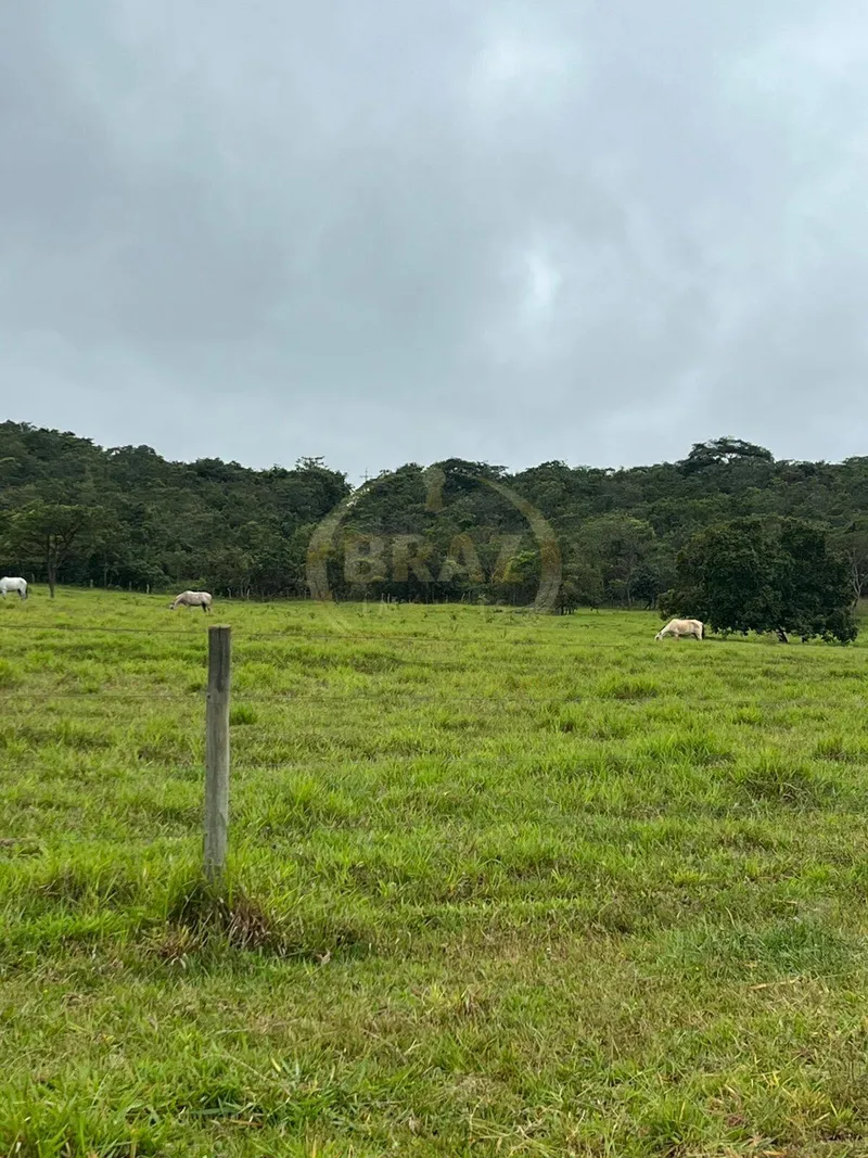 Fazenda em Luziânia/Goiás — Ref PF5XQJ — Imagem 29