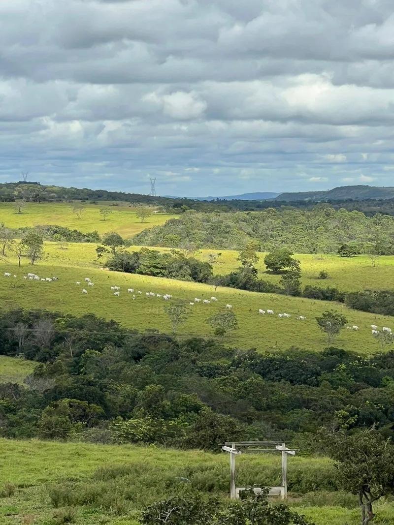 Fazenda em Luziânia/Goiás — Ref PF5XQJ — Imagem 3