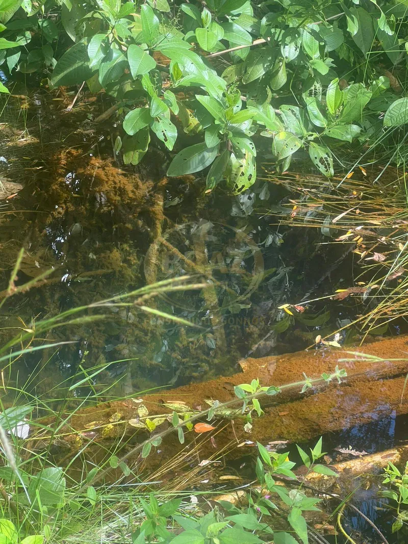 Fazenda em Luziânia/Goiás — Ref PF5XQJ — Imagem 33