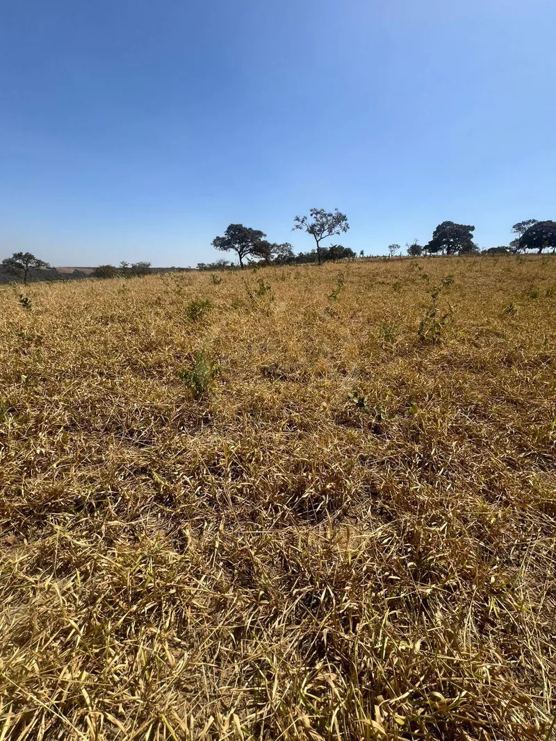 Sítio em Luziânia/Goiás — Ref DBRJPQ — Imagem 3