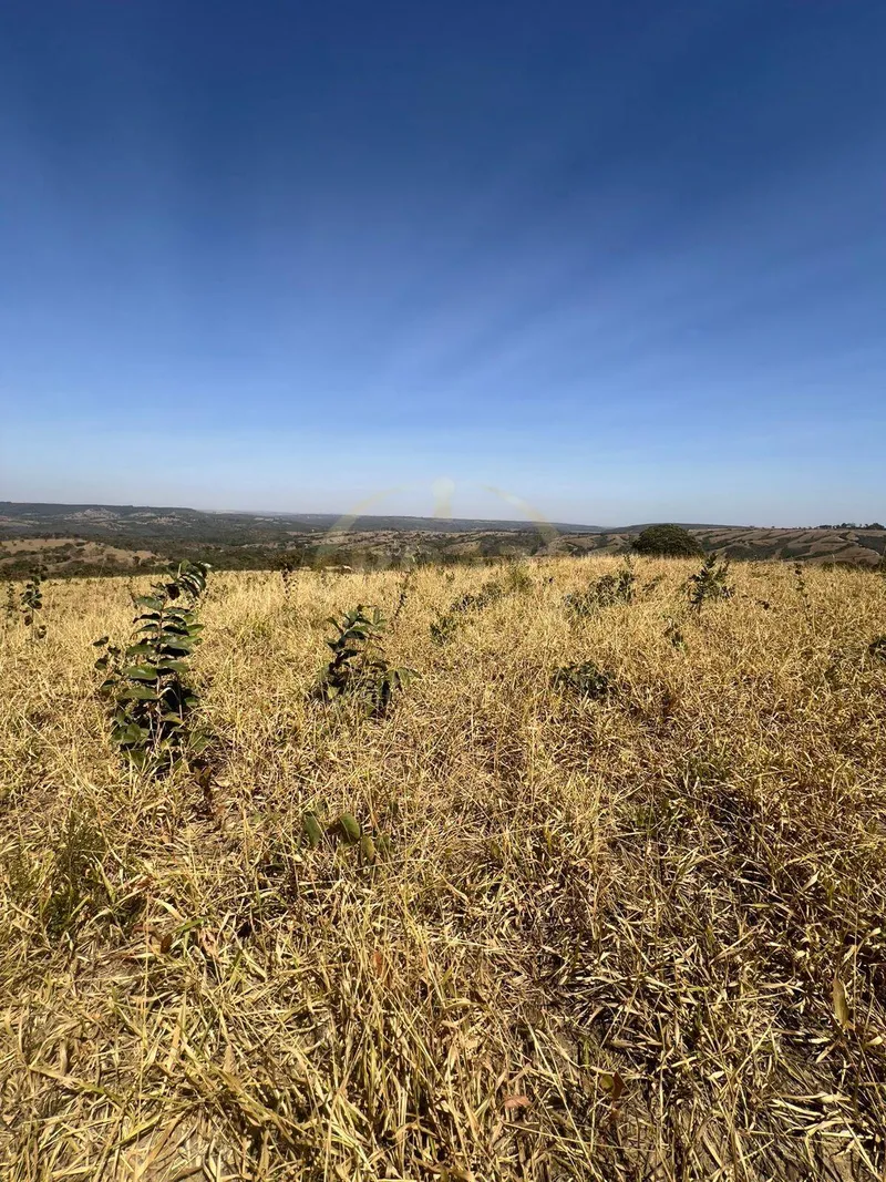 Sítio em Luziânia/Goiás — Ref DBRJPQ — Imagem 5