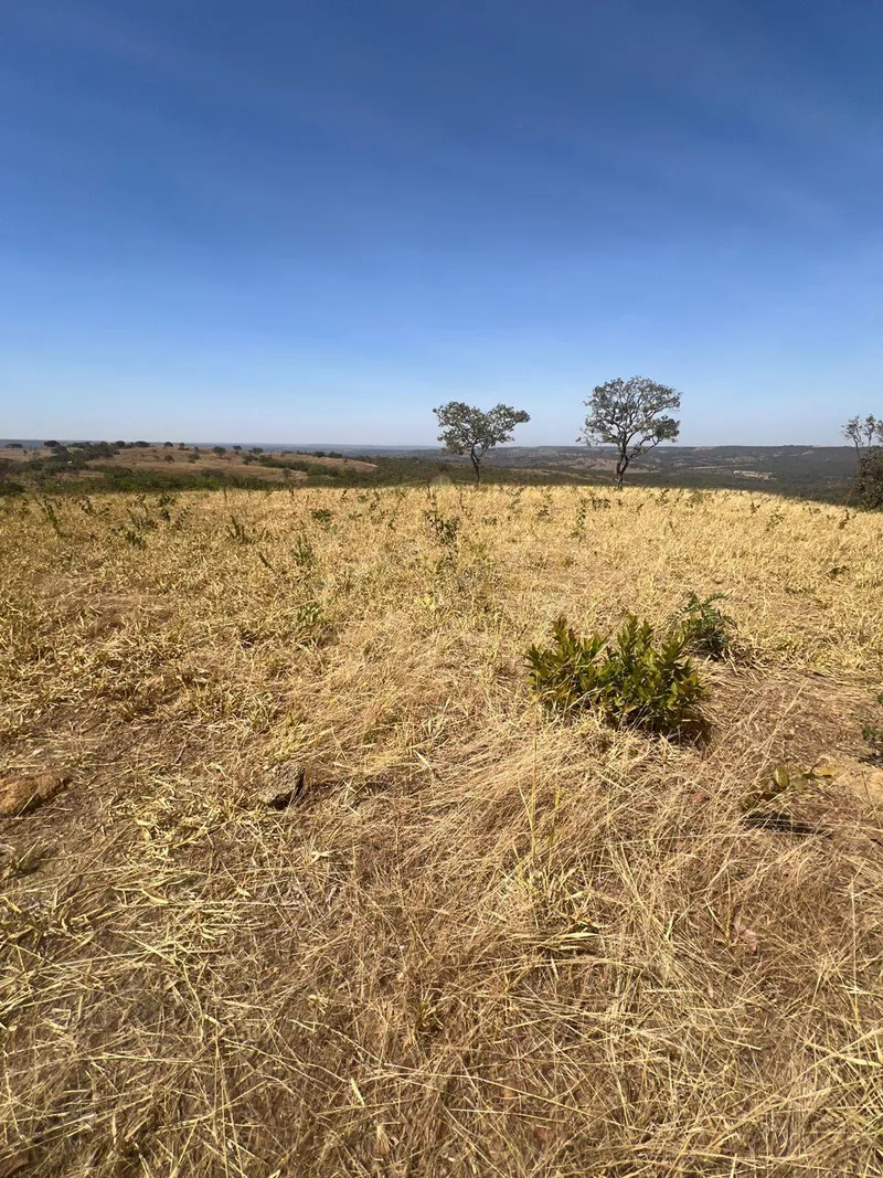 Sítio em Luziânia/Goiás — Ref DBRJPQ — Imagem 13