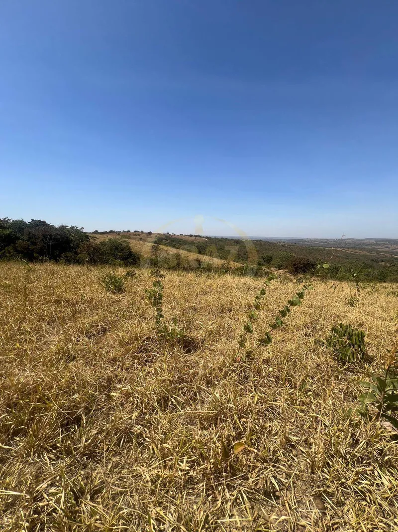 Sítio em Luziânia/Goiás — Ref DBRJPQ — Imagem 14