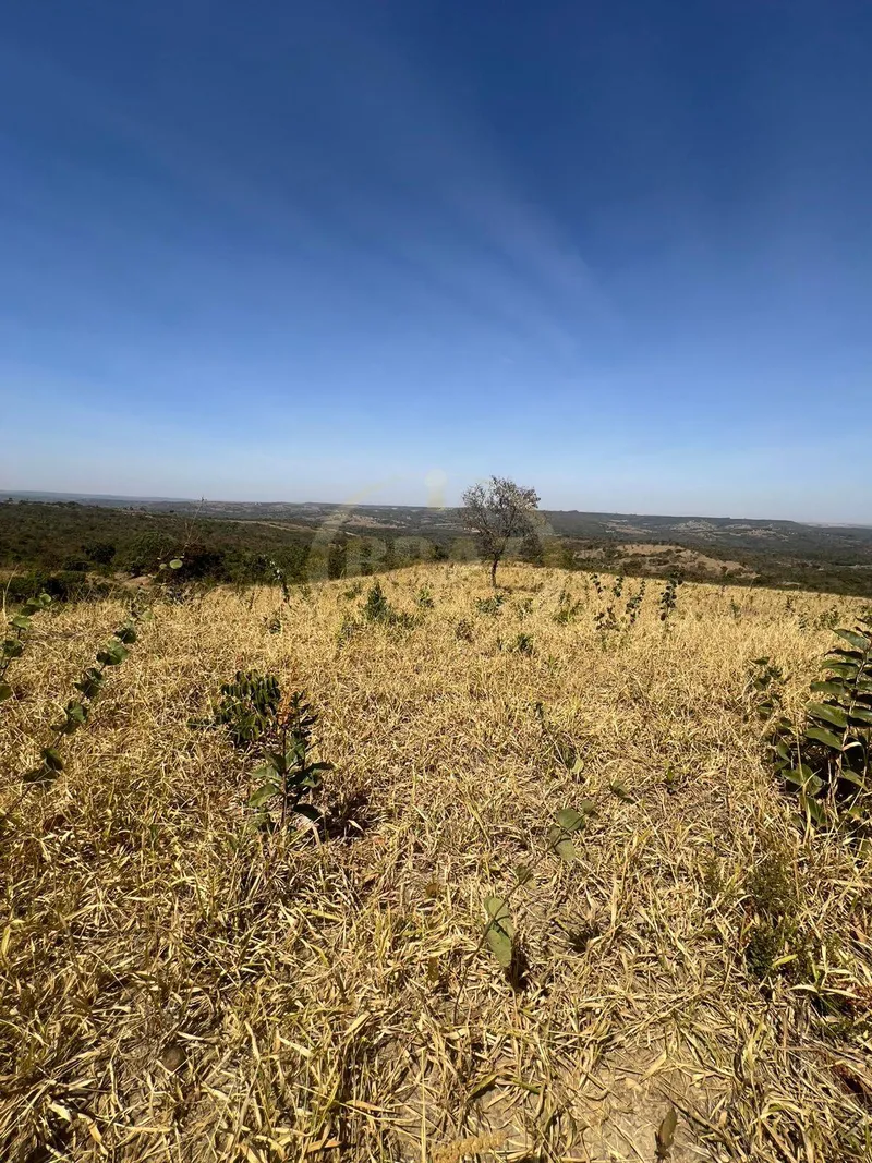 Sítio em Luziânia/Goiás — Ref DBRJPQ — Imagem 17