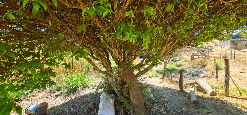 Fazenda em Santo Antônio do Descoberto/Goiás — Ref 4NAMK6 — Imagem 34