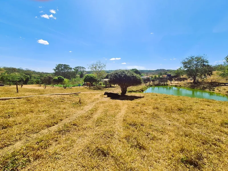 Fazenda em Santo Antônio do Descoberto/Goiás — Ref 4NAMK6 — Imagem 54