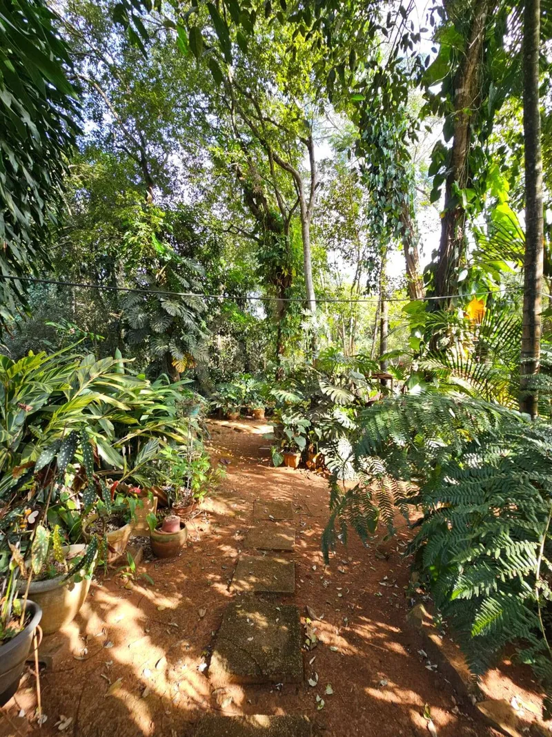 Chácara em Luziânia/Goiás — Ref PZ414D — Imagem 10