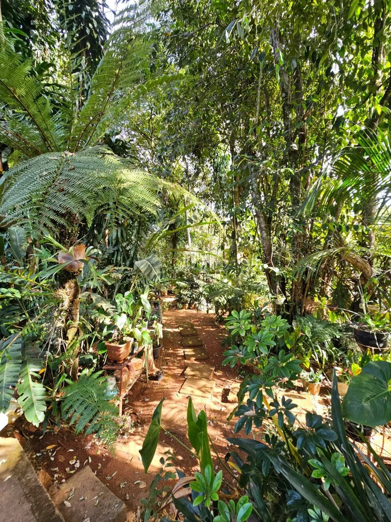 Chácara em Luziânia/Goiás — Ref PZ414D — Imagem 11