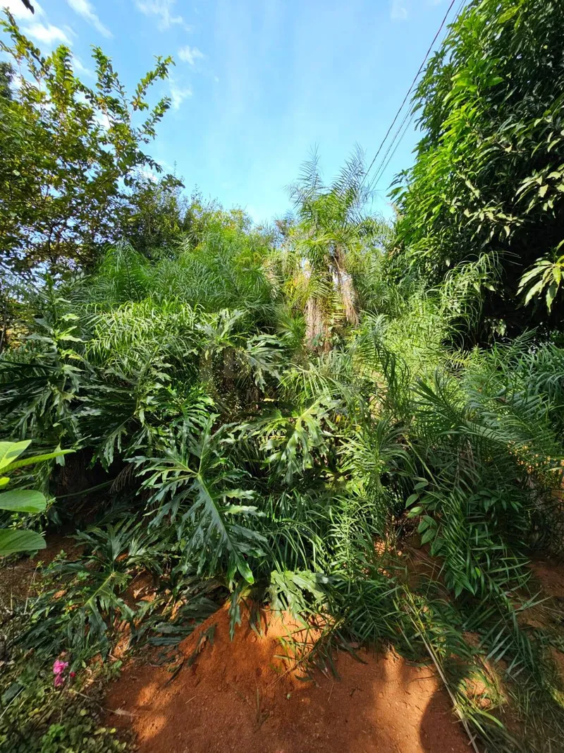 Chácara em Luziânia/Goiás — Ref PZ414D — Imagem 12