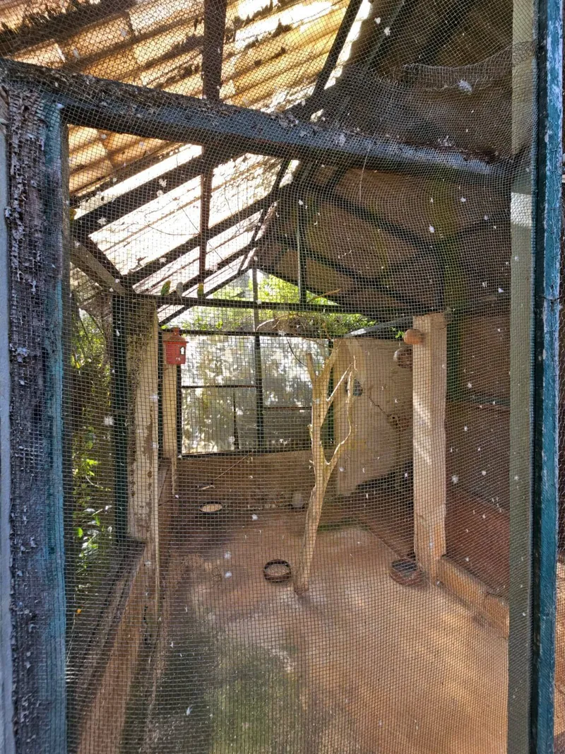 Chácara em Luziânia/Goiás — Ref PZ414D — Imagem 13