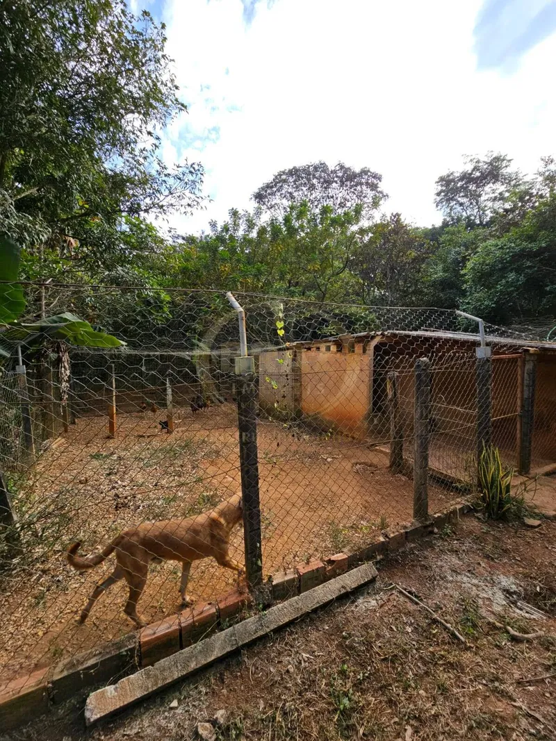 Chácara em Luziânia/Goiás — Ref PZ414D — Imagem 50