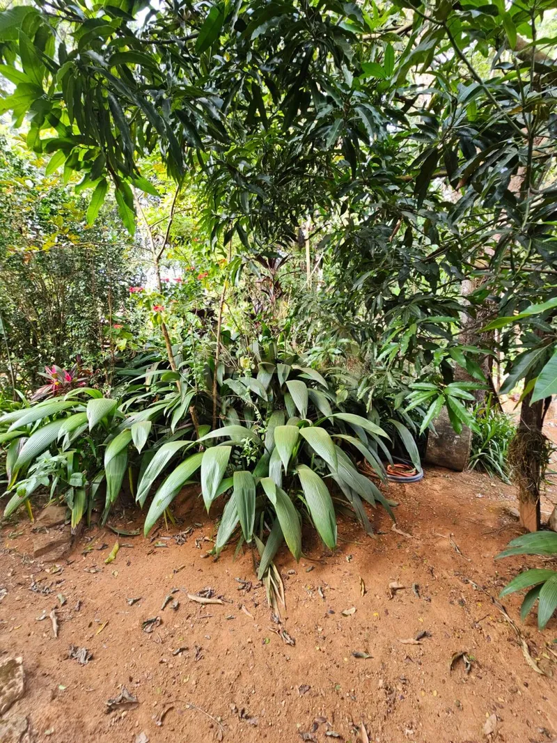 Chácara em Luziânia/Goiás — Ref PZ414D — Imagem 53