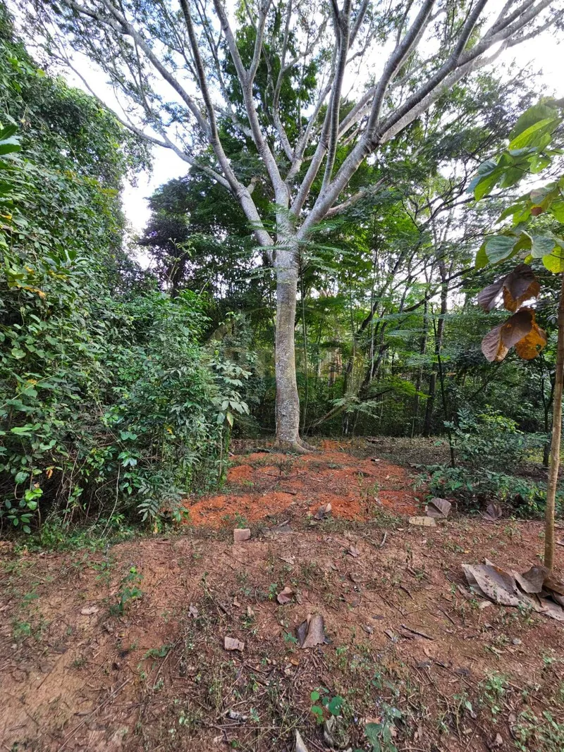 Chácara em Luziânia/Goiás — Ref PZ414D — Imagem 56