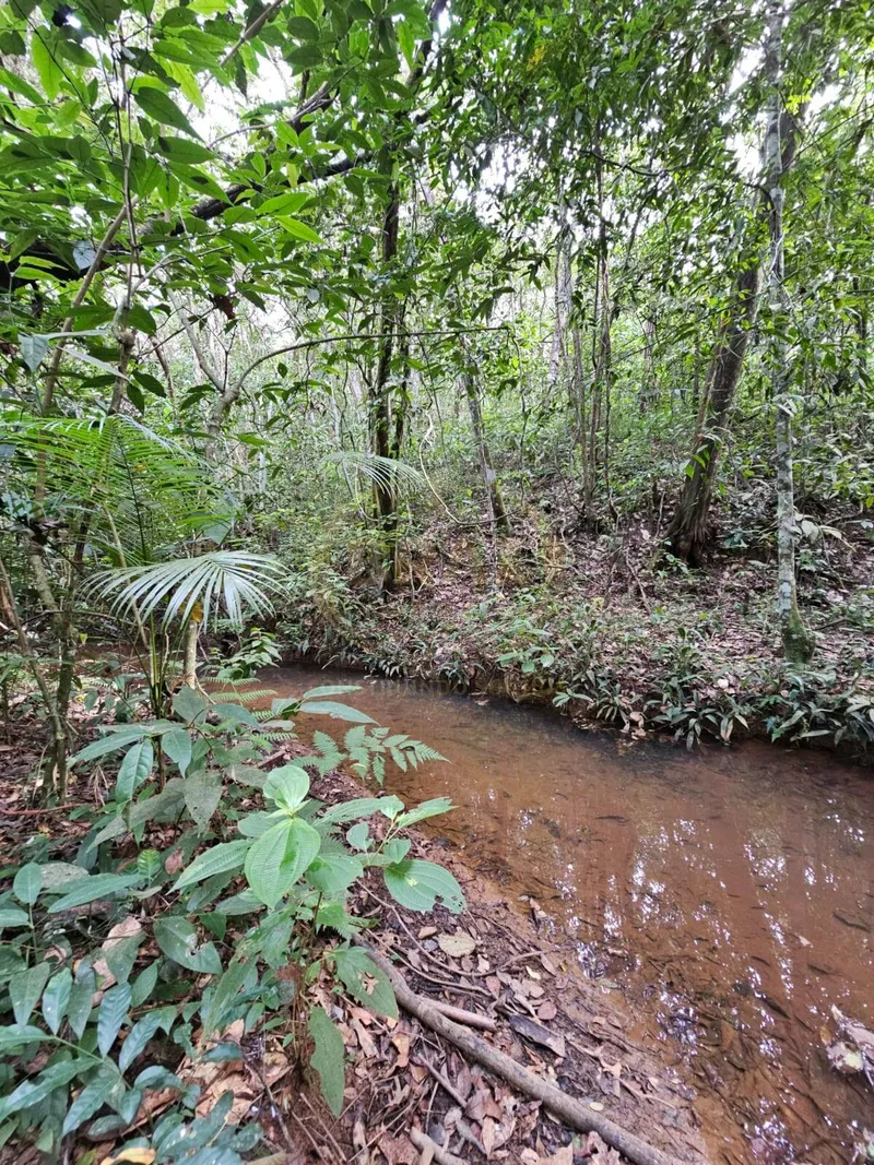 Chácara em Luziânia/Goiás — Ref PZ414D — Imagem 60