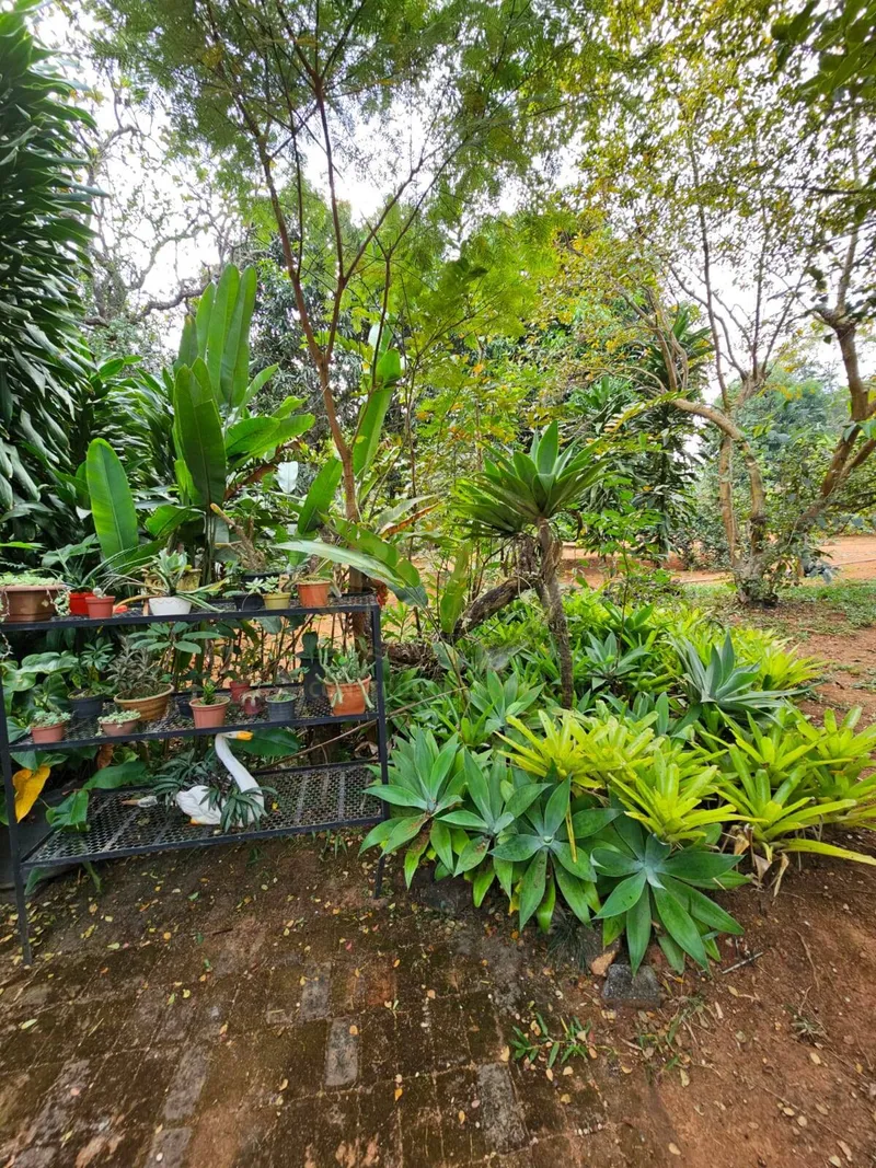 Chácara em Luziânia/Goiás — Ref PZ414D — Imagem 73